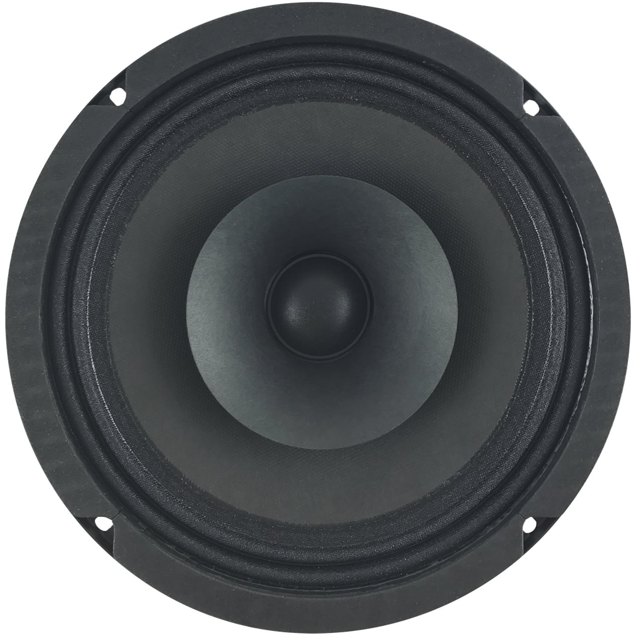 8 D1 1,5 CS - 8 8" Full-range driver