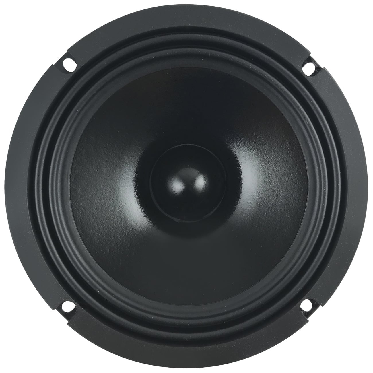 6 E 1,5 CS - 8 6" Professional Bass-mid woofer