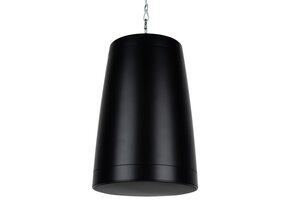 WP80XTB Pendant Speaker