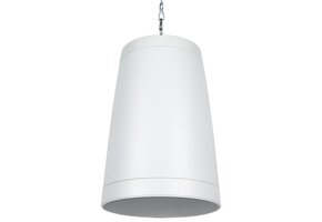WP80XTW Pendant Speaker