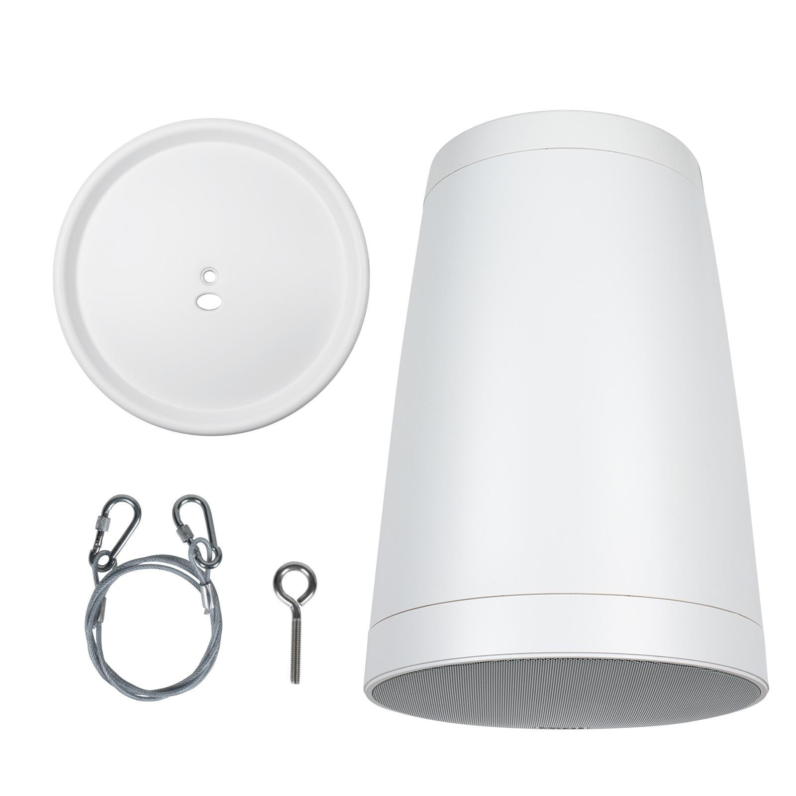 WP80XTW 8" Pendant Speaker 8 ohm White