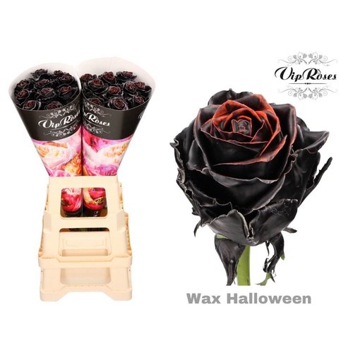 Rozen.nl Halloween wax Rozen.nl Halloween wax