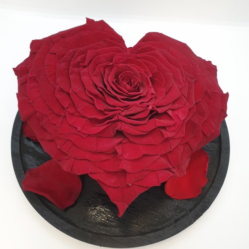 Rozen.nl Rose Longlife härz XXXL Rozen.nl Rose Longlife härz XXXL