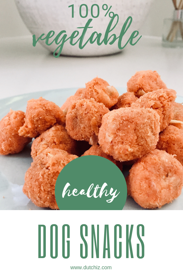 Easy healthy dog cookies and treats Dutchiz