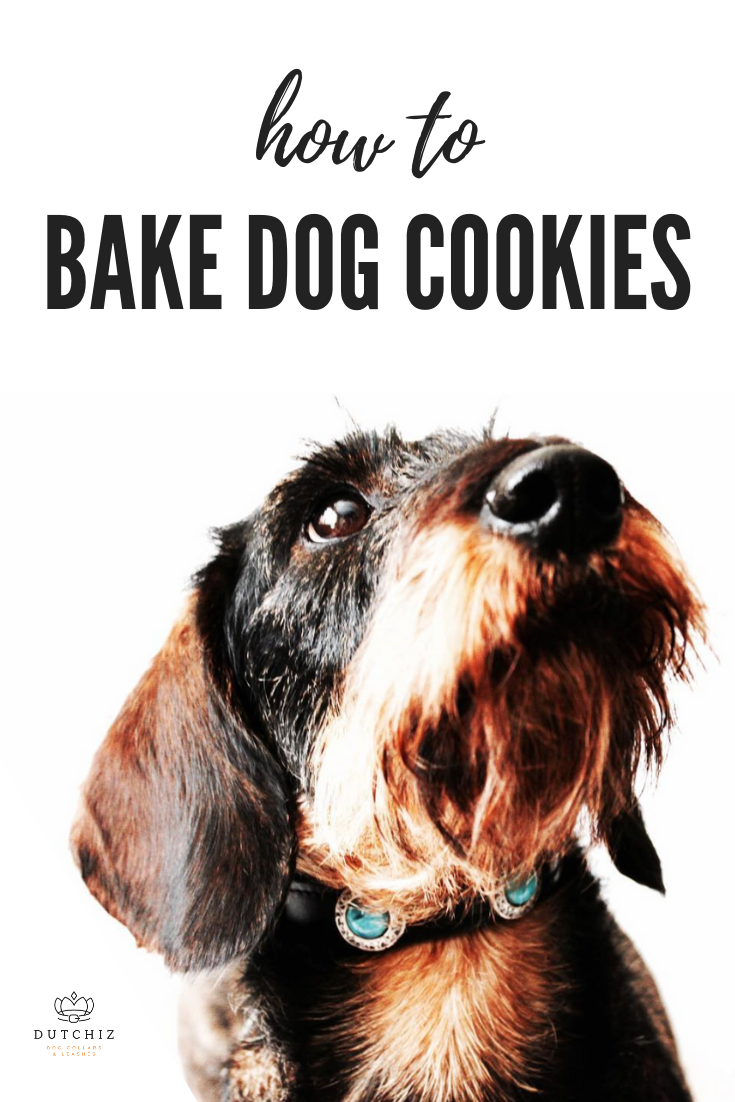 Easy healthy dog cookies and treats Dutchiz