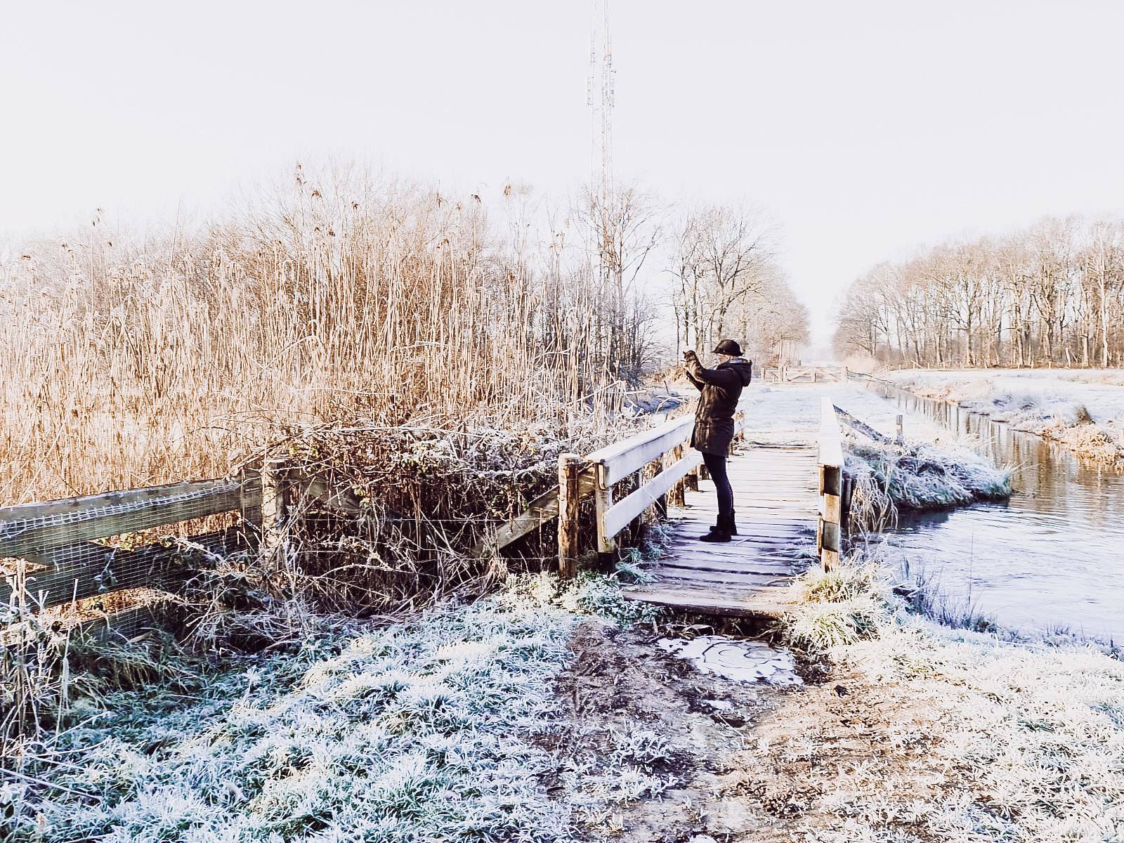 A beautiful morning walking the dogs in Dutch winter wonderland