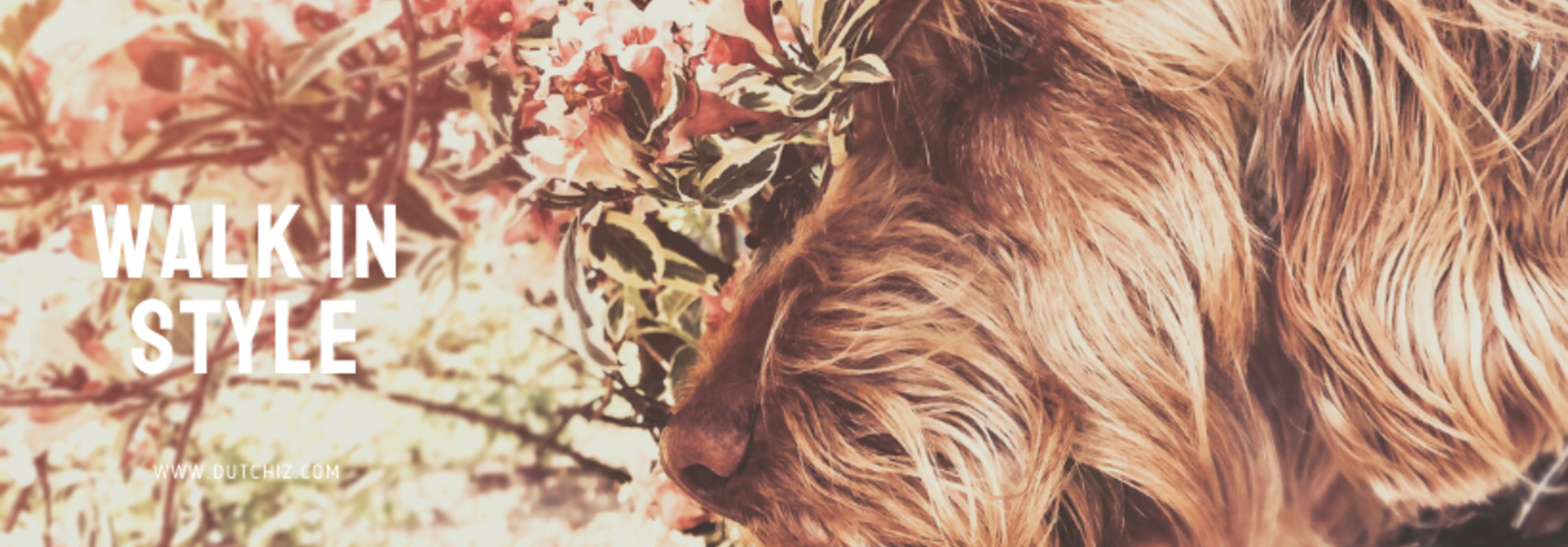 Muttertaggeschenk, das beste Geschenk für eine ' Hunde Mutter'