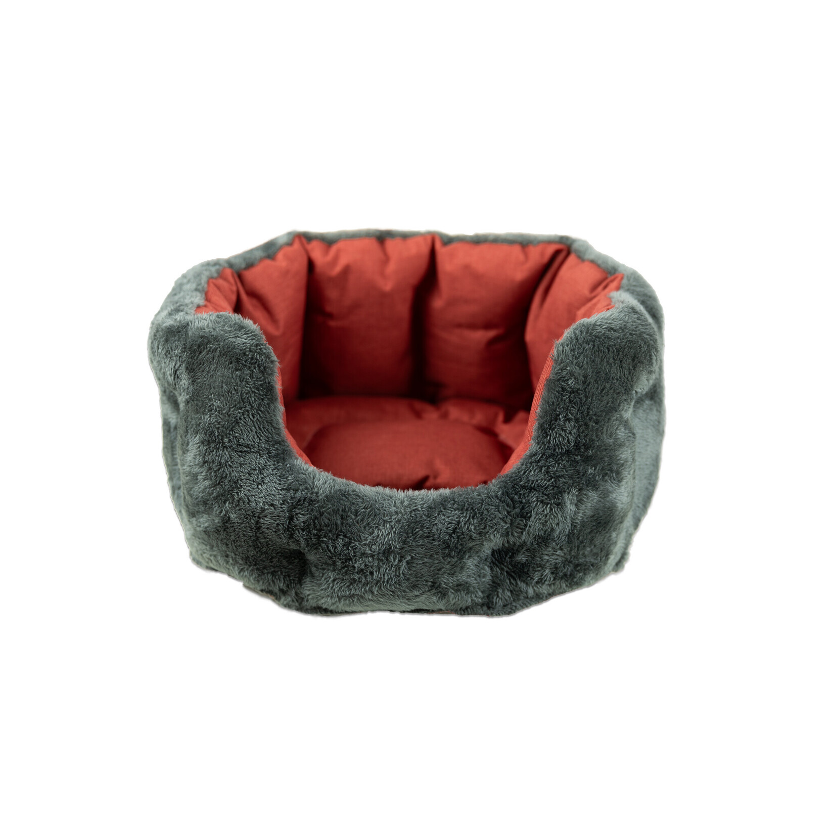 Pet-Joy The DoggyTeddy Strong Copper