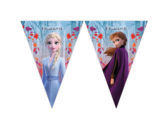 Vlaggenlijn Frozen 2 - 2 meter