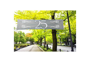 Zilveren  Spandoek 25 Jaar 180 x 40 cm
