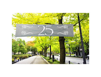 Zilveren Spandoek 25 Jaar 180 x 40 cm