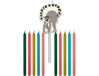 Zoo party Taartkaarsjes -  11 stuks