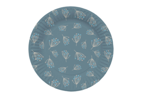 Papieren Borden Jongens -8 stuks