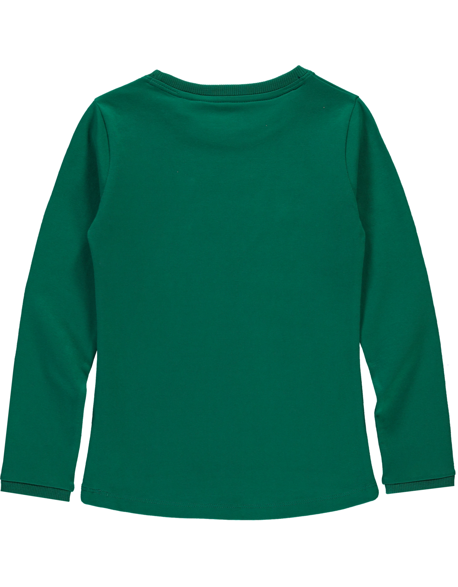 Quapi Longsleeve Tanaya Forest green