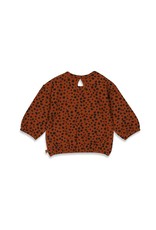 Feetje Sweater AOP - Wild Bruin