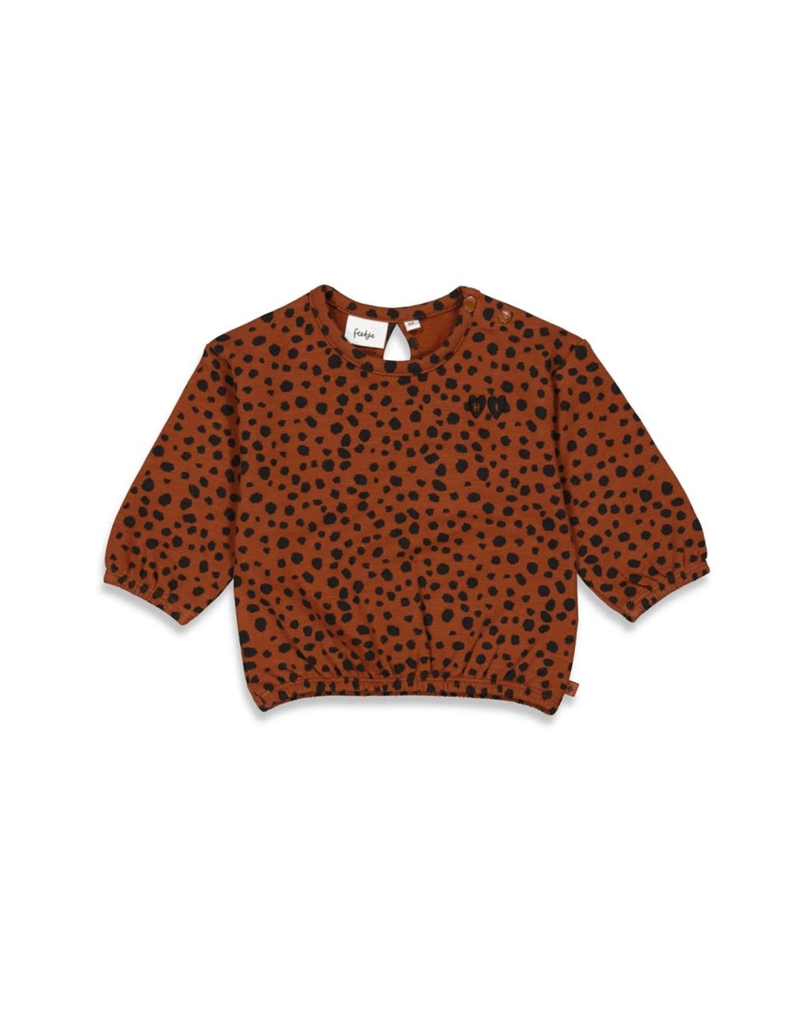 Feetje Sweater AOP - Wild Bruin