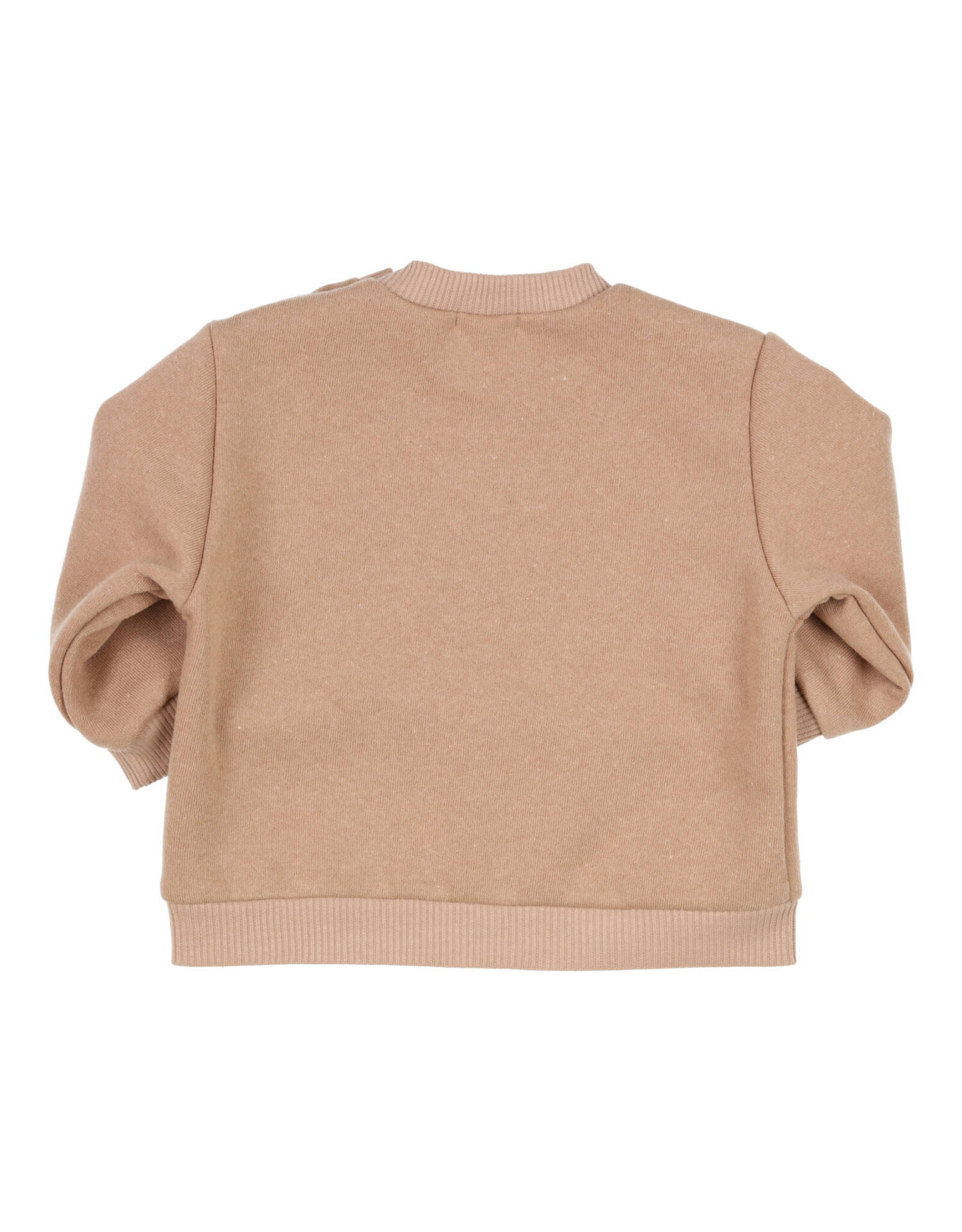 Gymp Sweater Carbontree Camel