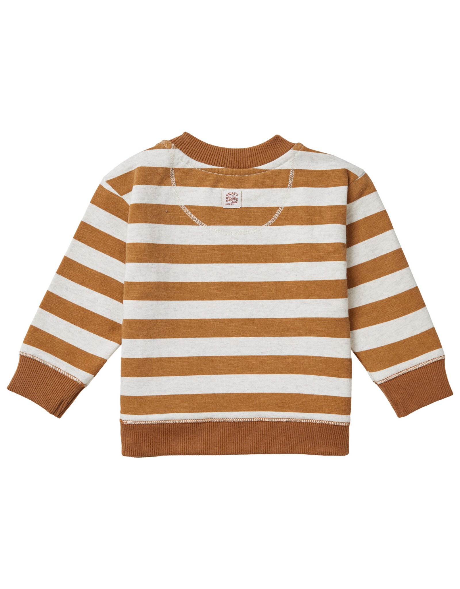 Noppies Boys sweater Tangerine long sleeve stripe Chipmunk