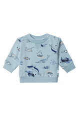 Noppies Boys Sweater Bergen long sleeve  allover print Arona