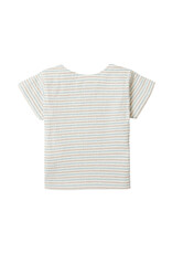 Noppies Boys Tee  Bolton short sleeve stripe Whisper White