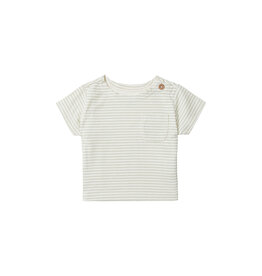 Noppies Boys Tee Bristol short sleeve stripe Desert Sage