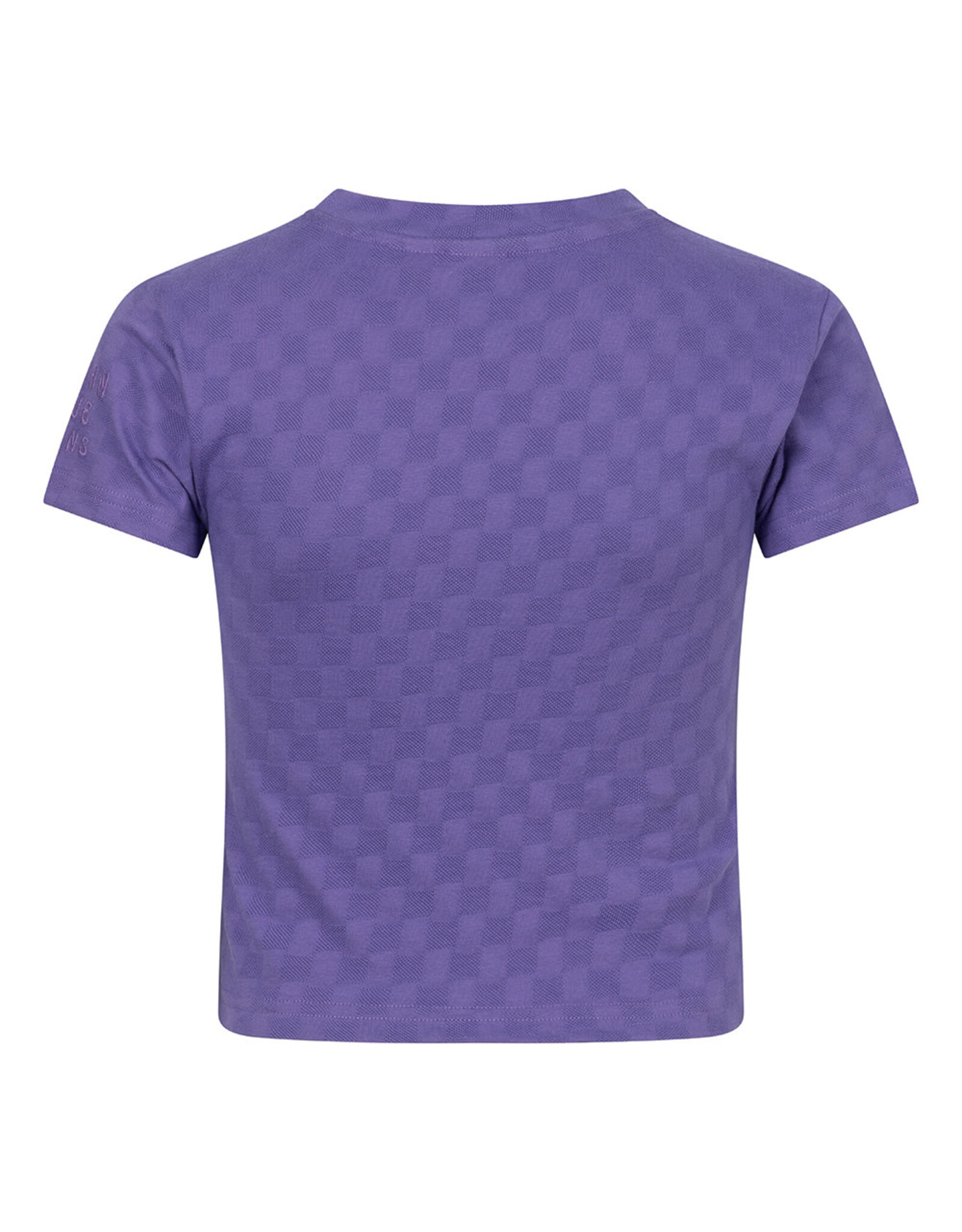 Indian Blue Jeans T-Shirt Block Check Purple