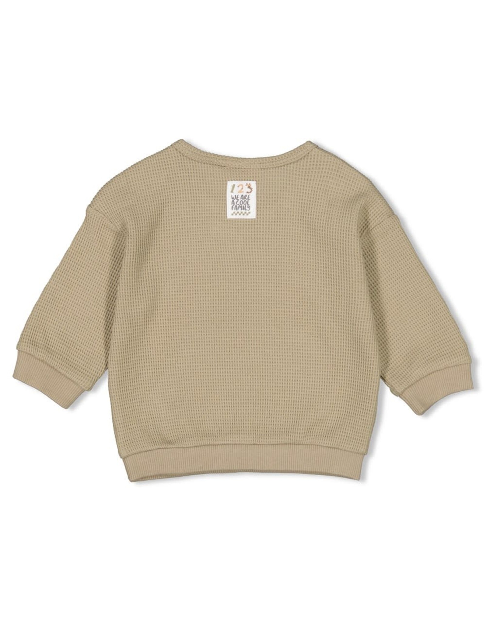 Feetje Sweater - Cool Family Groen