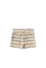 Salted Stories Dyed Stripe | Scott Multicolor