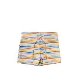 Salted Stories Dyed Stripe | Scott Multicolor