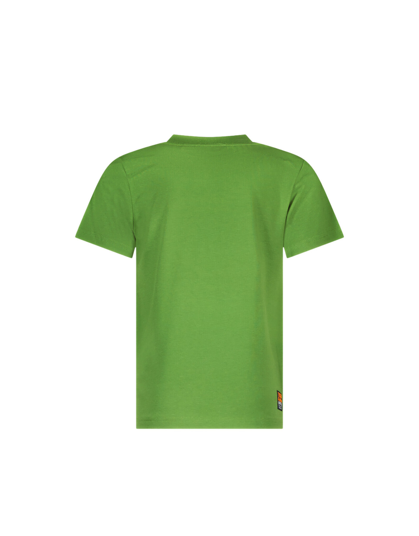 Tygo & vito T-shirt Jaimy Tropical Green