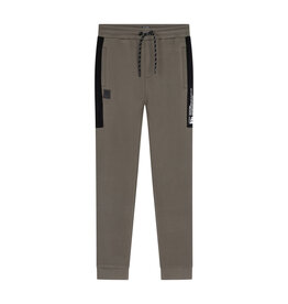 Indian Blue Jeans Jog Pant IBJ Scuba Army Grey