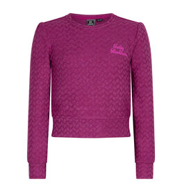 Indian Blue Jeans T-shirt Longsleeve Structure Berry Pink