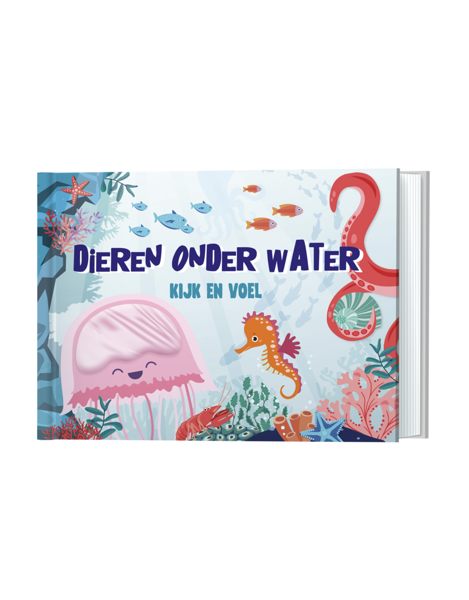 Lantaarn Kijk en voel - Dieren onder water