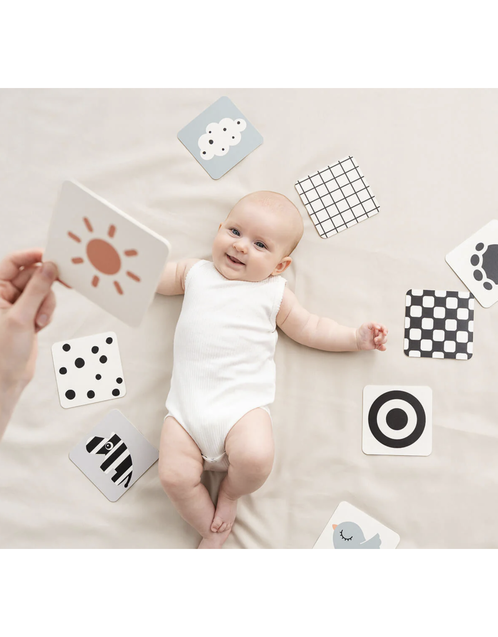 Done by Deer Baby contrast card 10 pack Deer friend