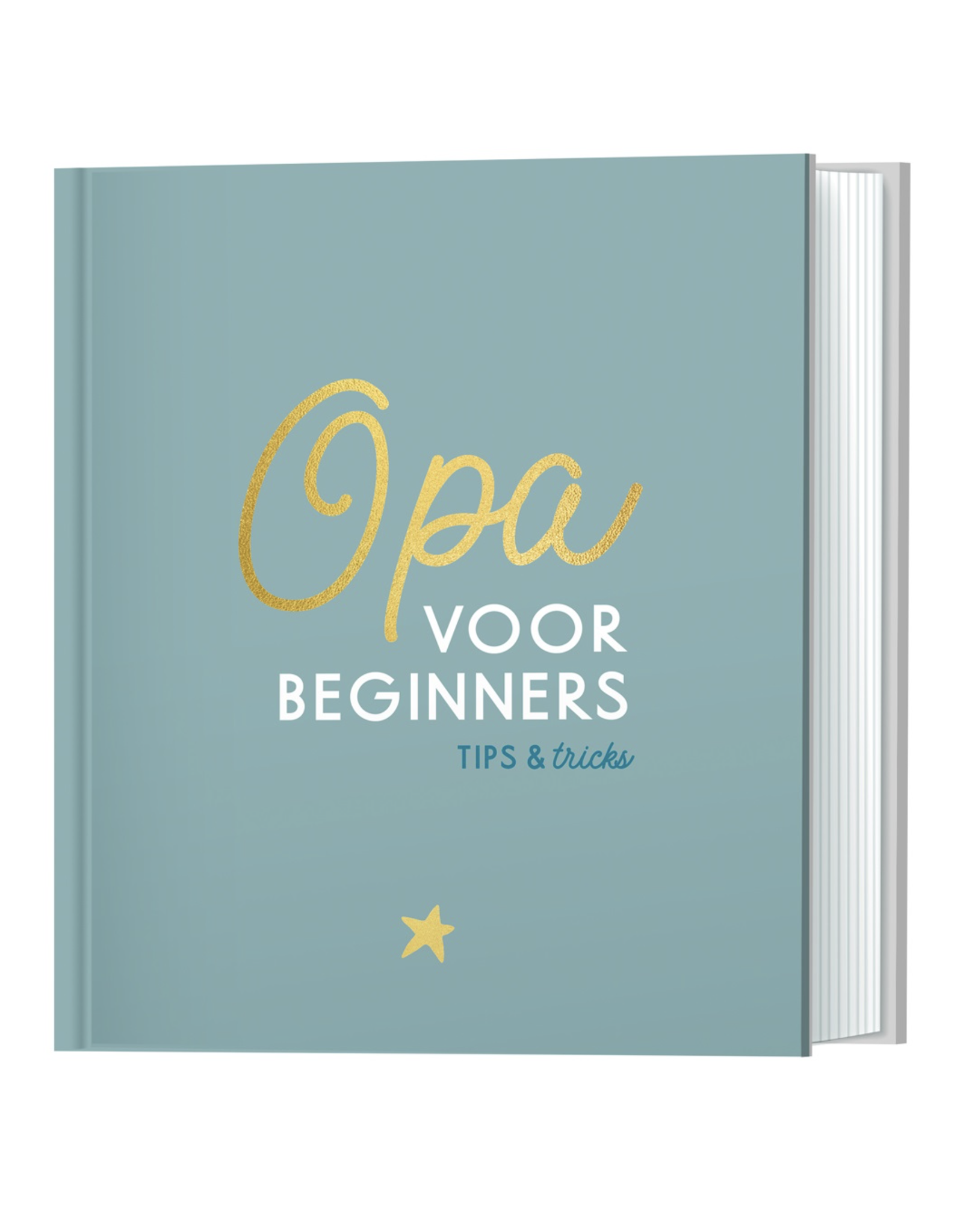 Lantaarn Opa voor beginners