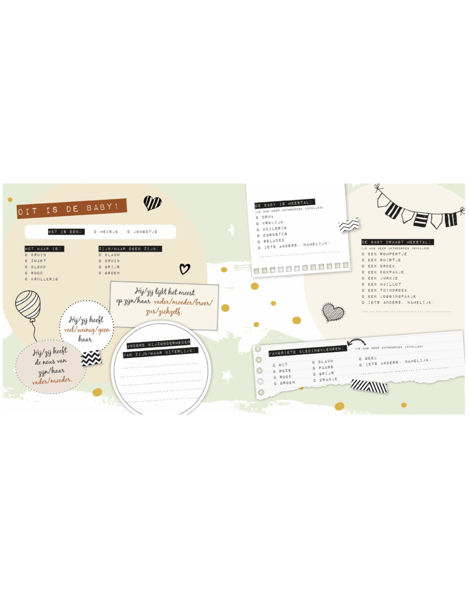 Lantaarn Baby's creche- en oppasboek