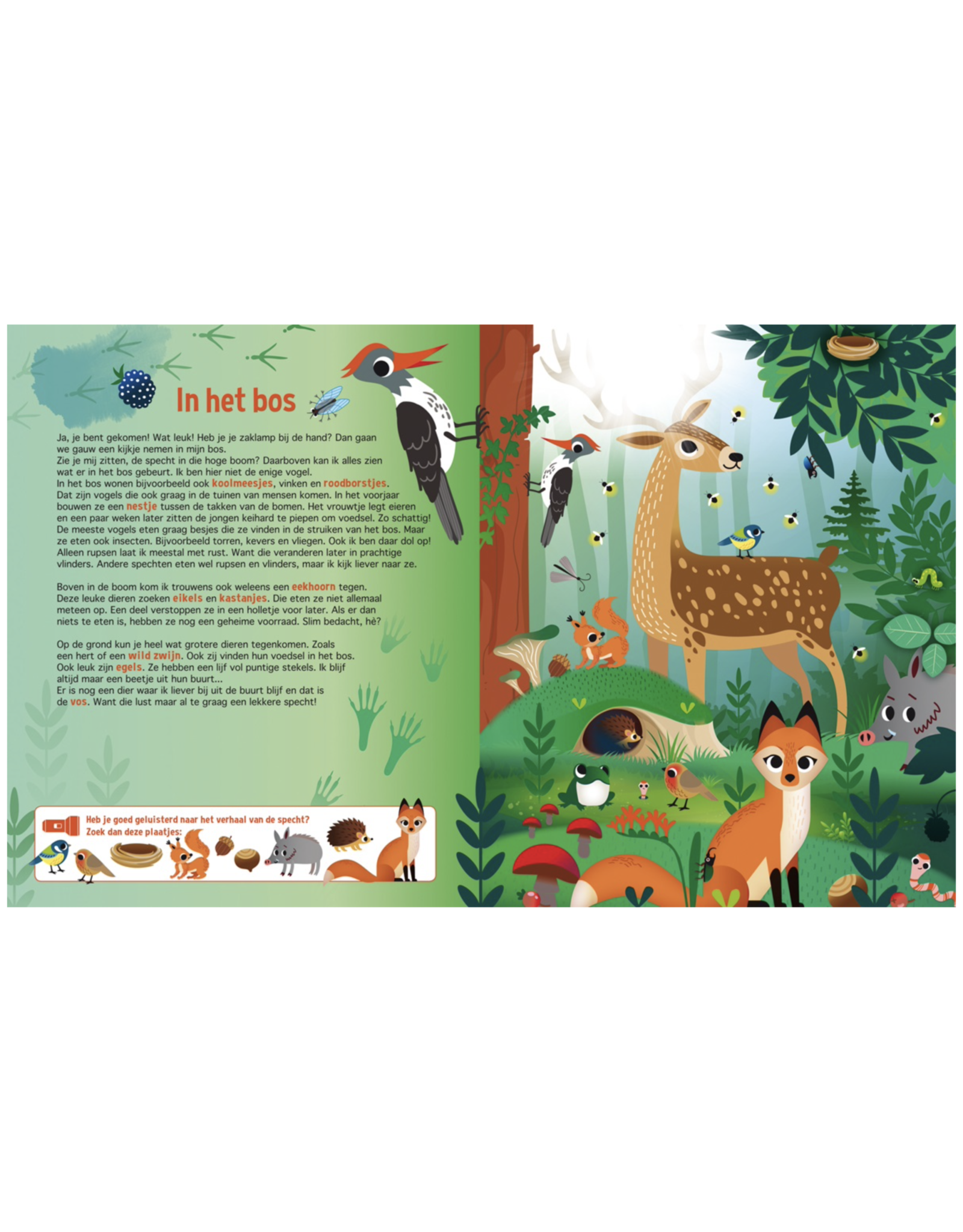 Lantaarn Speuren in de dierenwereld