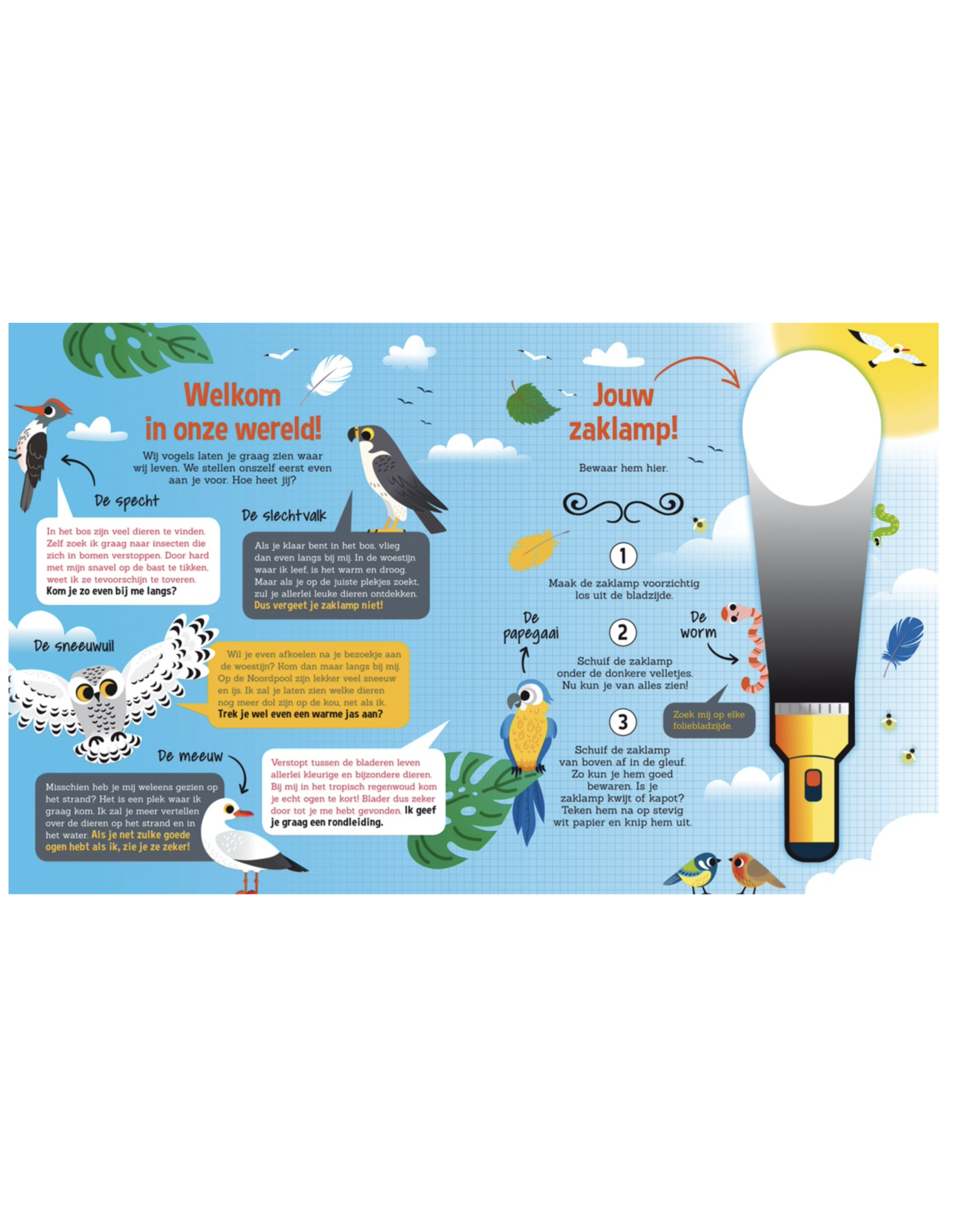 Lantaarn Speuren in de dierenwereld