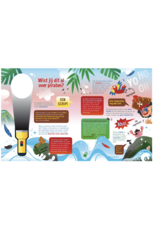 Lantaarn Speuren met piraten