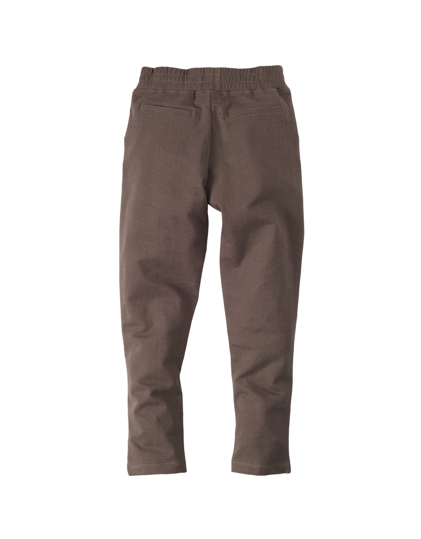 Z8 Lewis P24 Clay/AOP