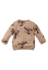 Z8 Franco Nougat/AOP