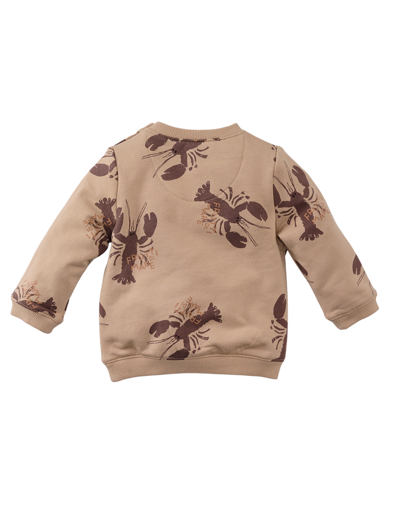 Z8 Franco Nougat/AOP