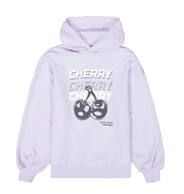 Garcia B52461 Sweater Lilac