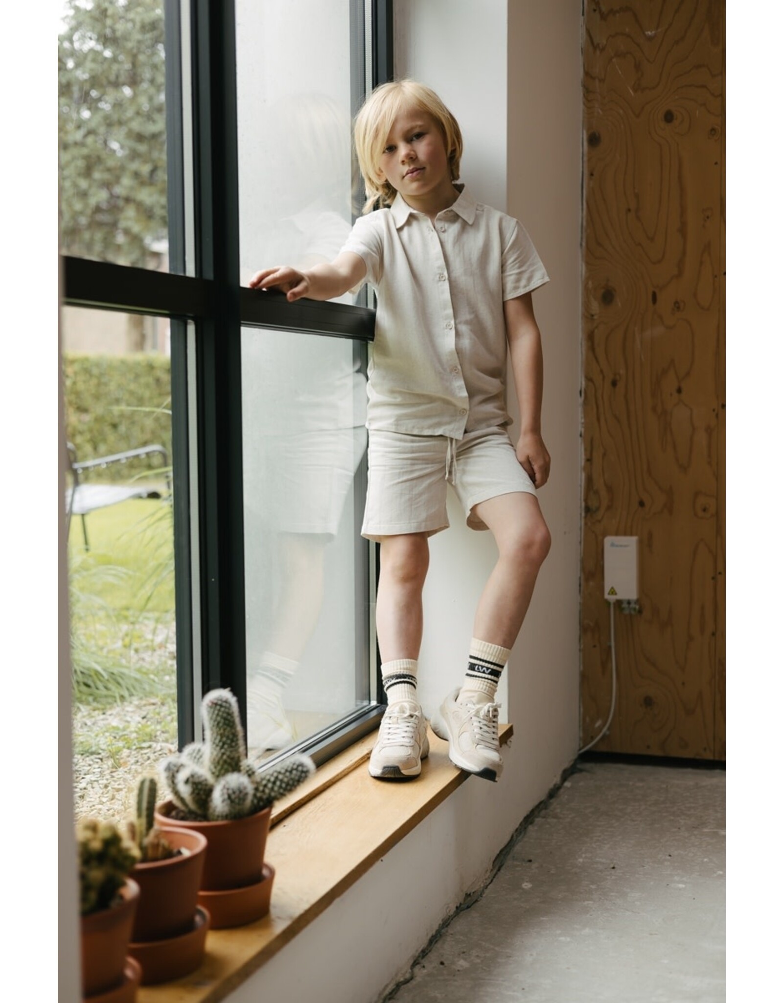 Levv LS252RICARDO Cream