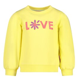 Jubel Sweater - Picknick Perfect Geel