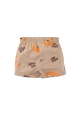 Z8 Lazaro Nougat/AOP