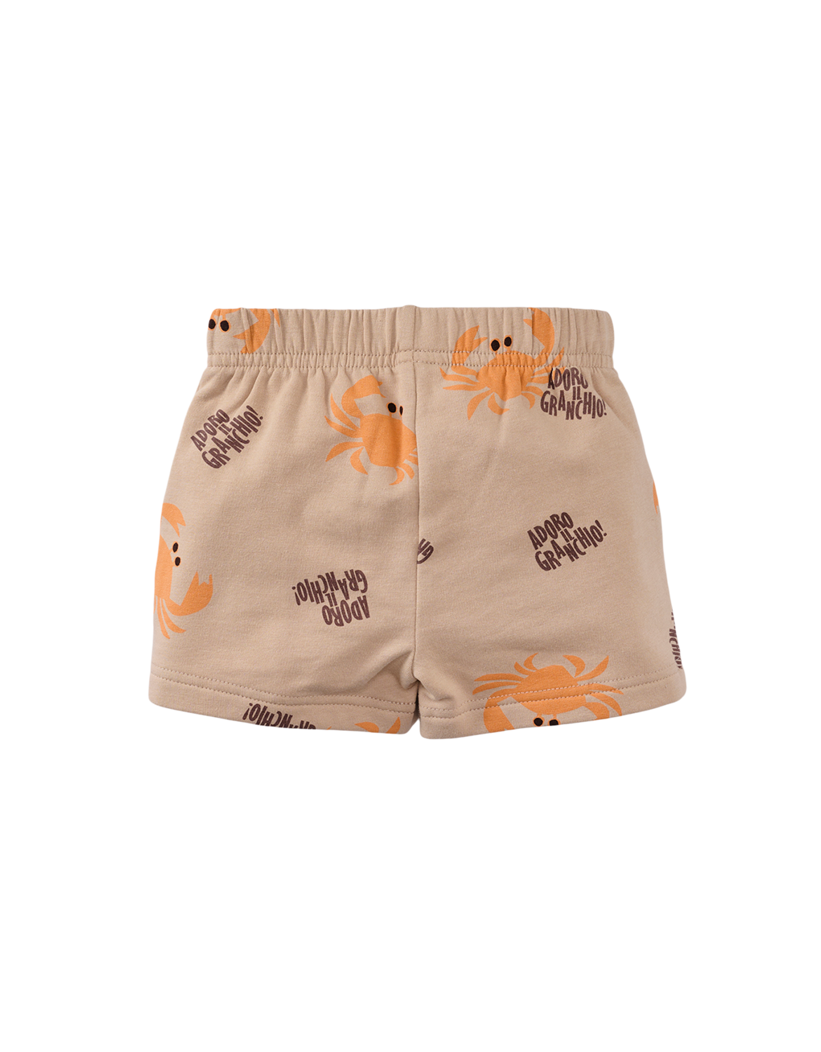 Z8 Lazaro Nougat/AOP