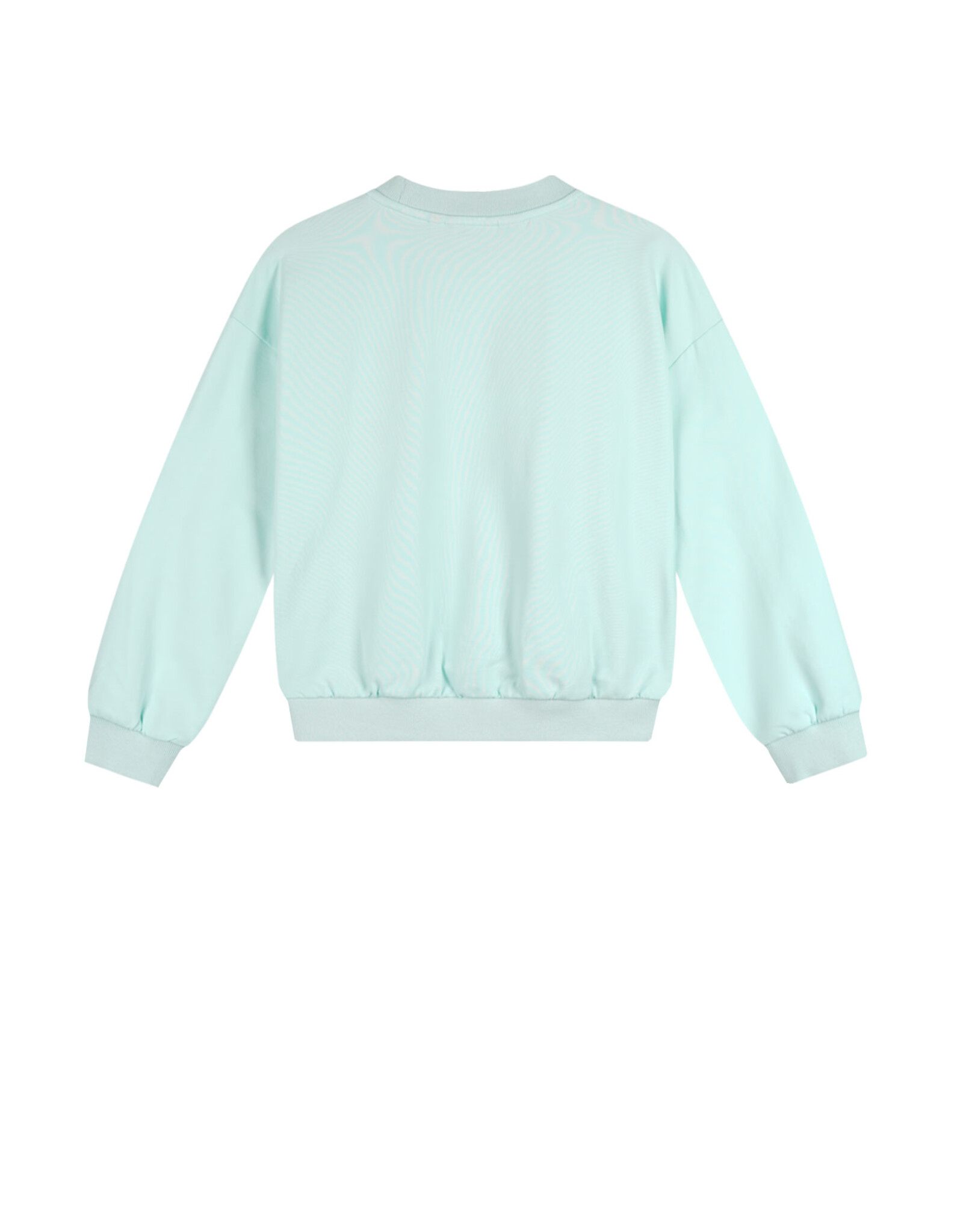 Nono Konono Sweater with big embro at chest Mint