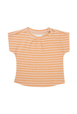 Noppies Girls Tee Mowbray short sleeve Check pattern Orange