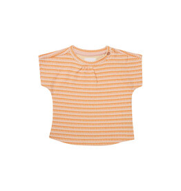 Noppies Girls Tee Mowbray short sleeve Check pattern Orange